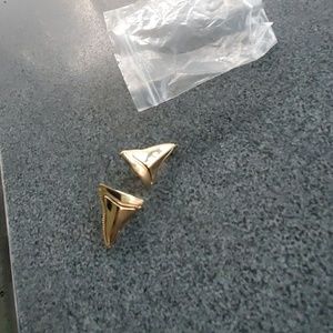 Gold plated earrings